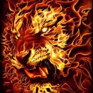 Meet your Posher, Eduardo